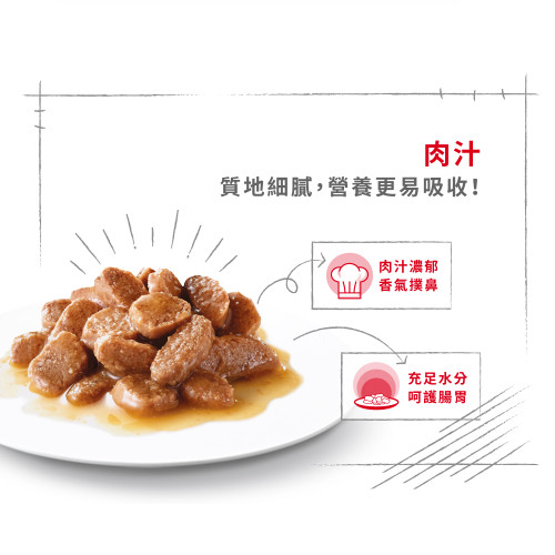 Royal Canin CAT (FCN) Digestive (舊名: Digest Sensitive) Care Adult (Gravy) 加護系列 成貓消化道加護主食濕糧(肉汁) (3104800) 85G X 12 原盒 (原裝行貨) 